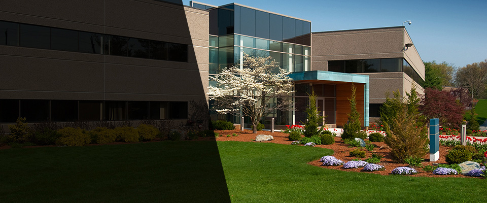 Colona Landscapers