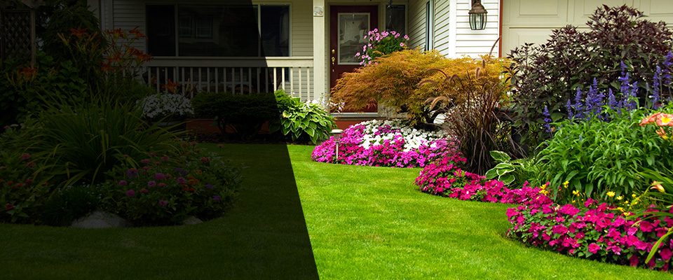 Colona Landscapers