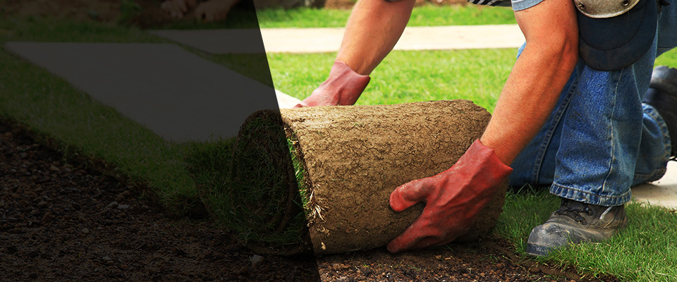 Colona Landscapers